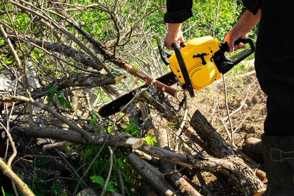 Sawing branches